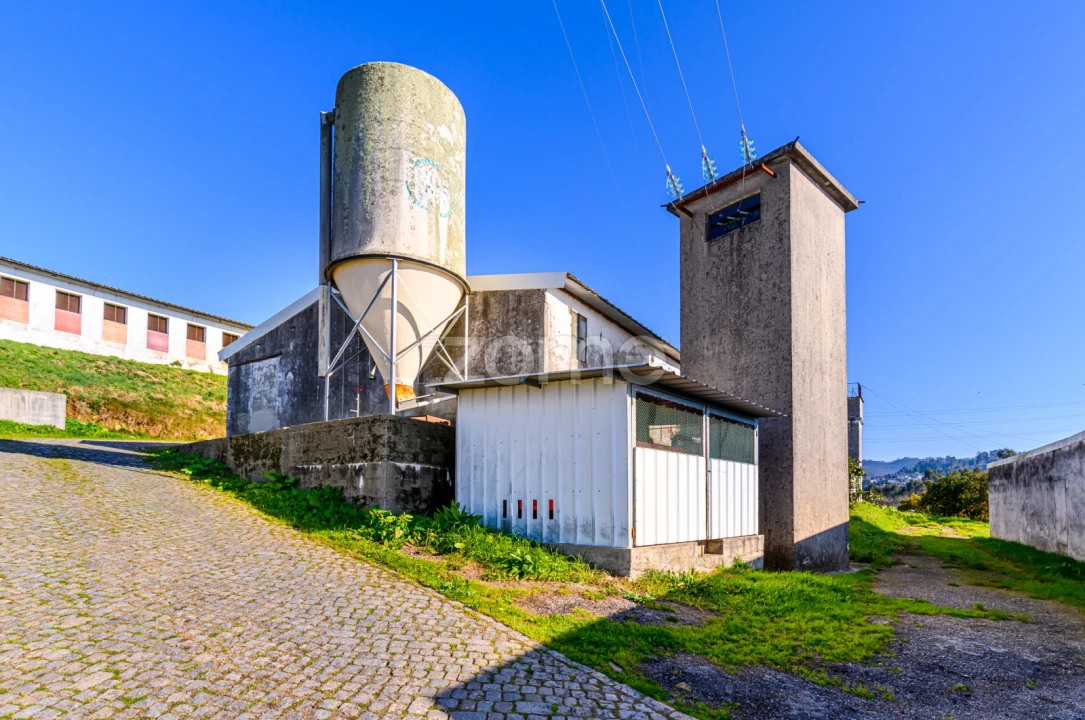 Terreno Comércio / Armazém para Venda em Agrela Foto 25