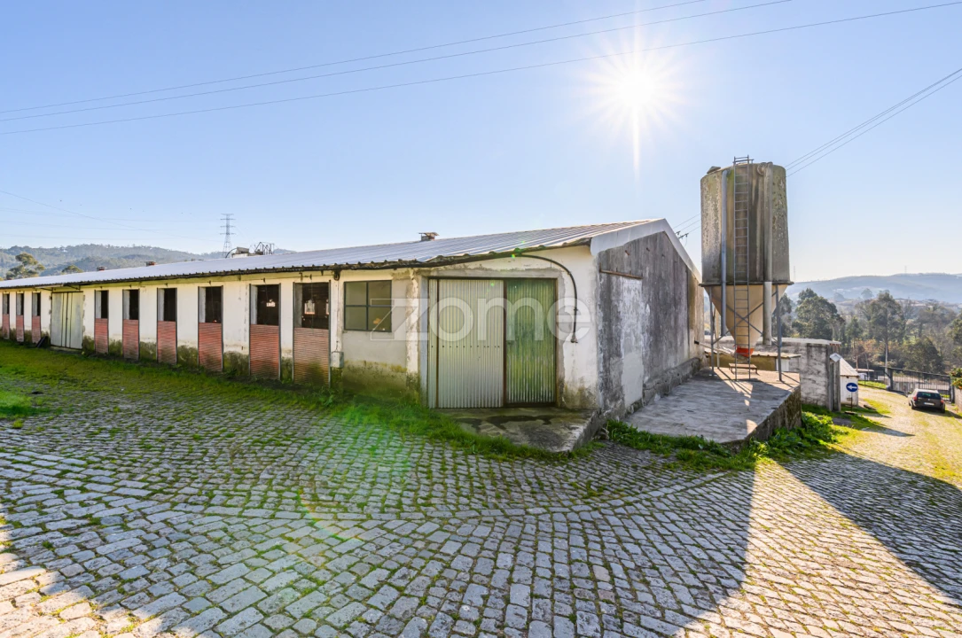 Terreno Comércio / Armazém para Venda em Agrela Foto 27