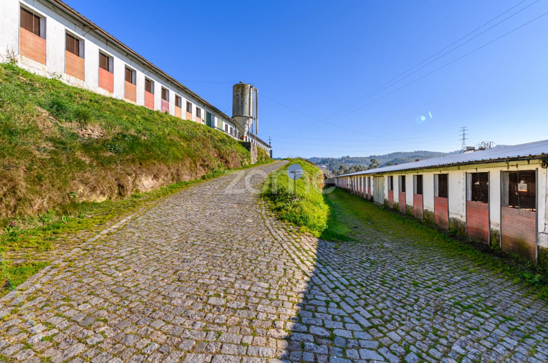 Terreno Comércio / Armazém para Venda em Agrela Foto 28