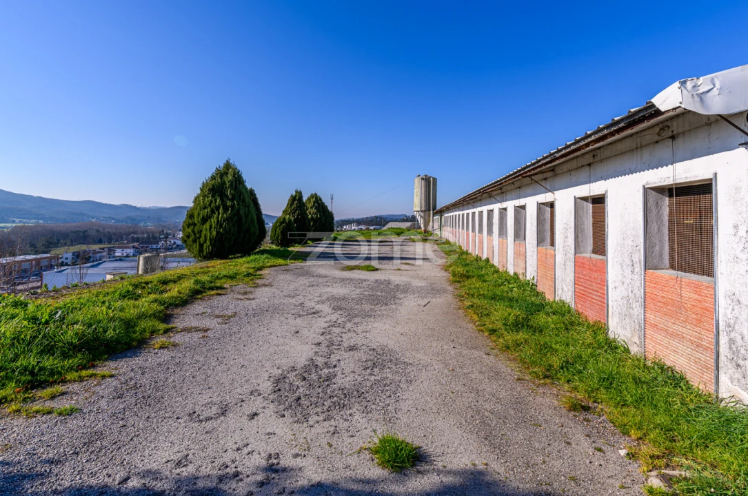 Terreno Comércio / Armazém para Venda em Agrela Foto 37