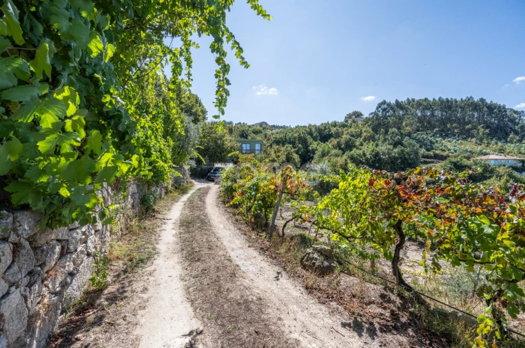 Moradia T3 para Venda em São Cristovão de Nogueira Foto 39