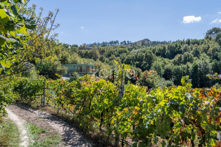 Moradia T3 para Venda em São Cristovão de Nogueira Foto 33