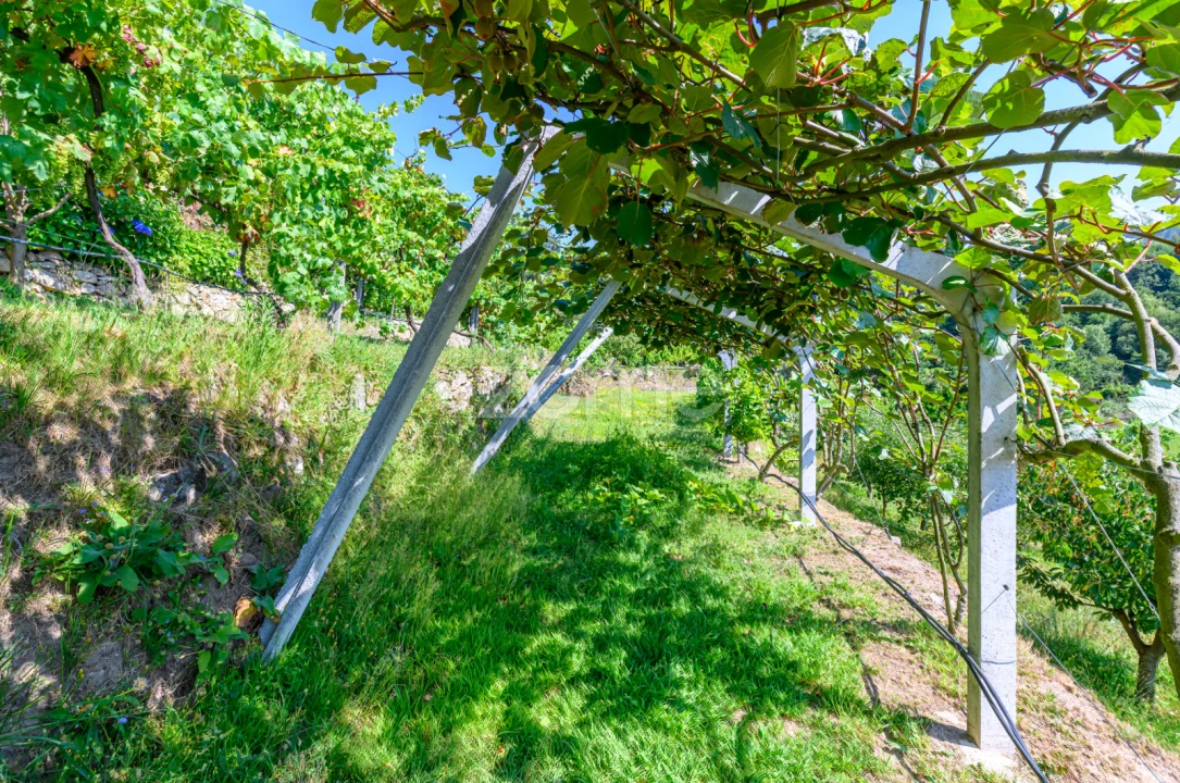 Moradia T3 para Venda em São Cristovão de Nogueira Foto 37