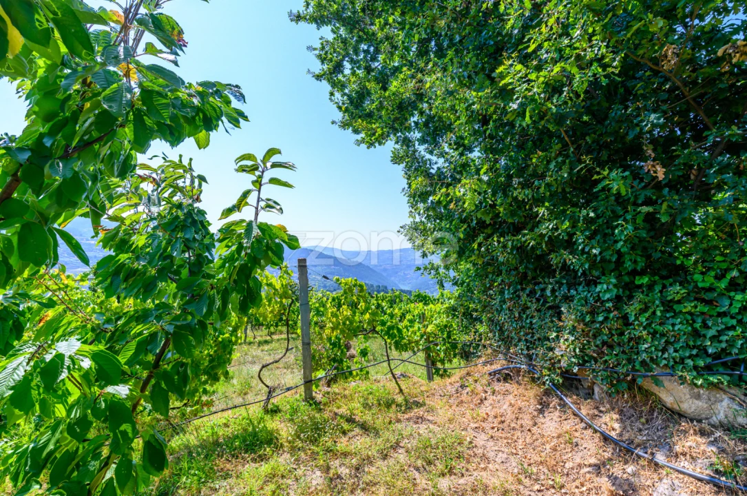 Moradia T3 para Venda em São Cristovão de Nogueira Foto 38