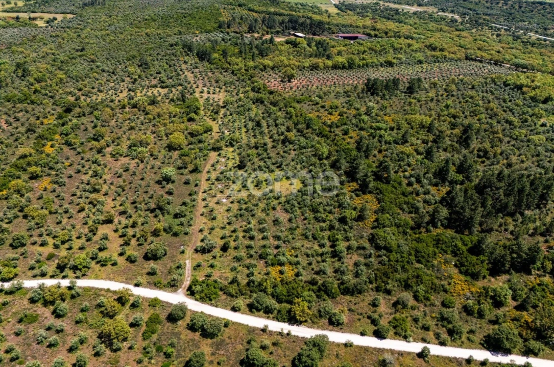 Terreno para Venda em Borba (Matriz) Foto 2