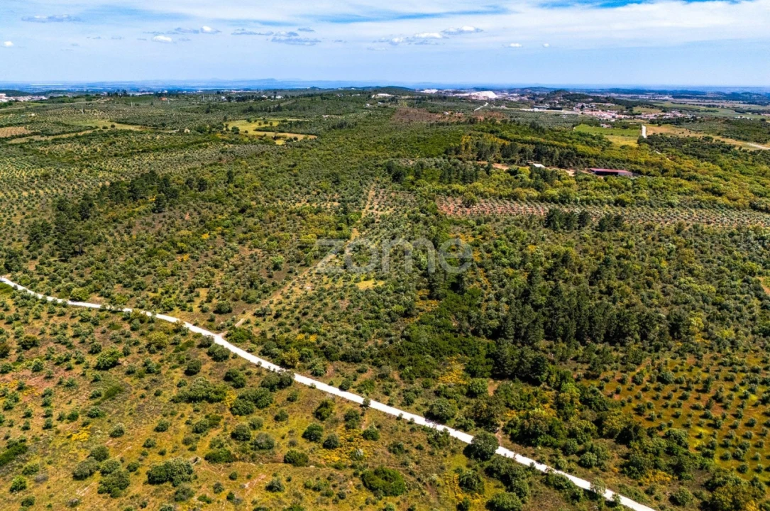 Terreno para Venda em Borba (Matriz) Foto 4