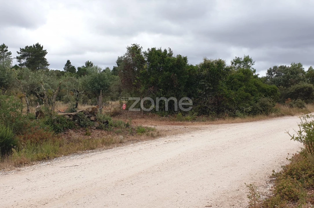 Terreno para Venda em Borba (Matriz) Foto 15