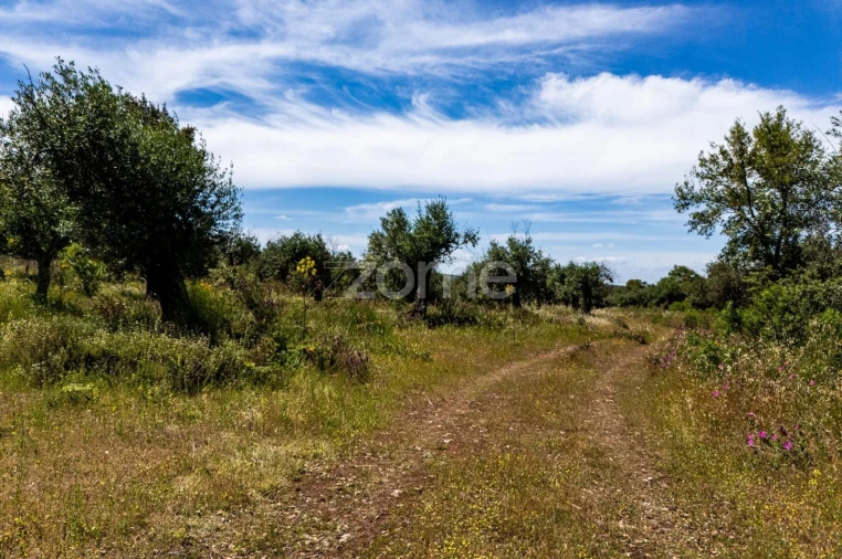 Terreno para Venda em Borba (Matriz)