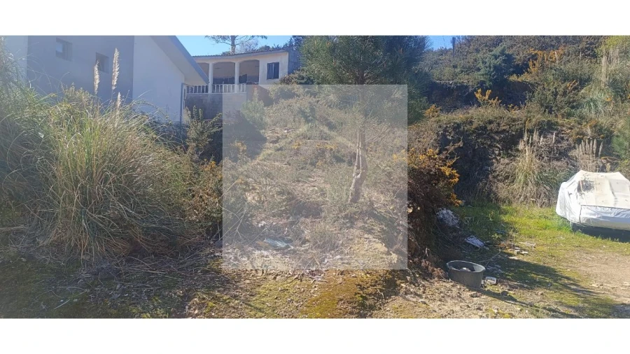 Terreno para Venda em Valongo Foto 6