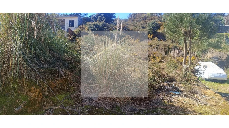 Terreno para Venda em Valongo Foto 7