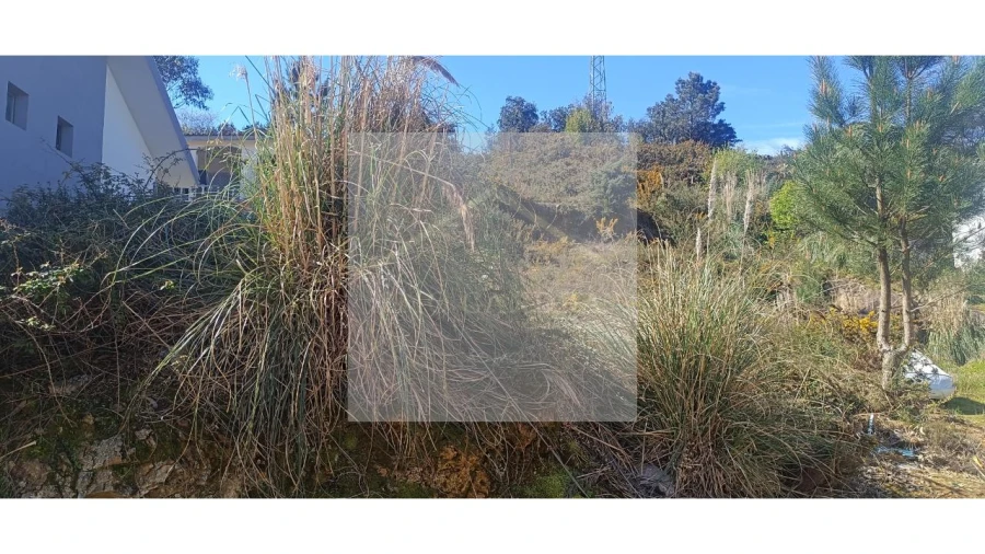 Terreno para Venda em Valongo Foto 8