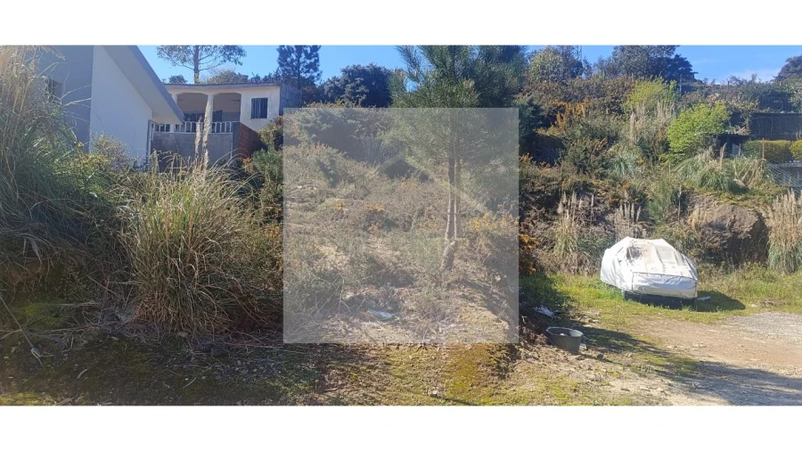 Terreno para Venda em Valongo Foto 9