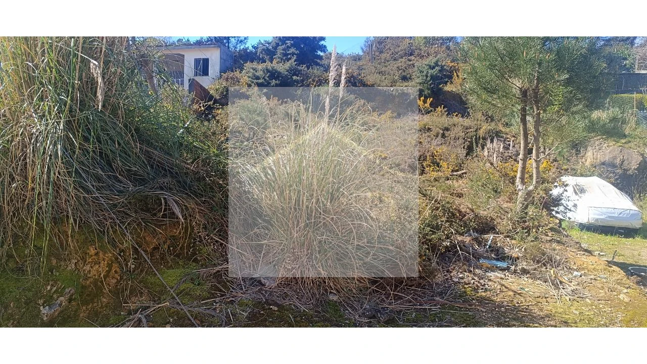 Terreno para Venda em Valongo Foto 7