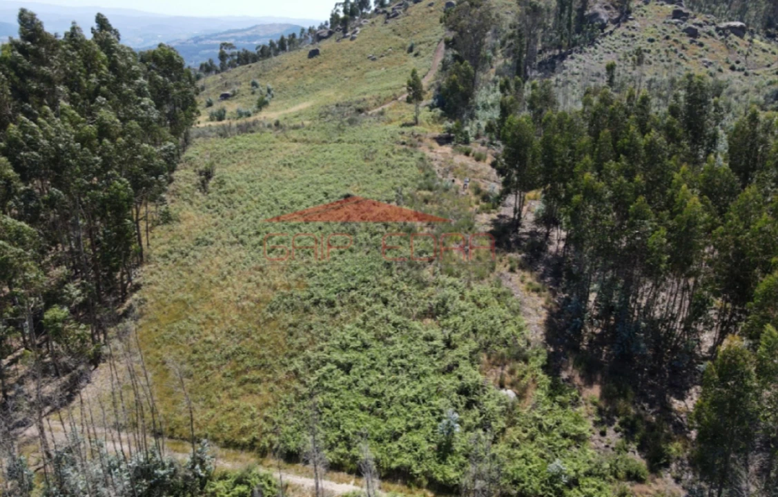 Terreno para Venda em Abragão Foto 3