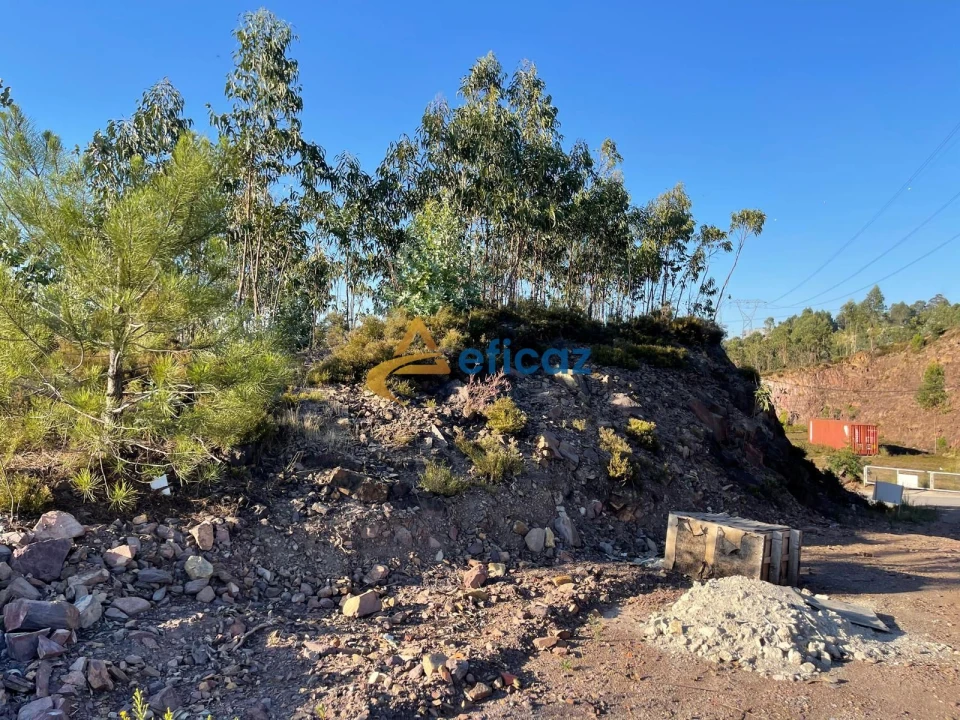 Terreno Agricola ou Rústico para Venda em Gandra Foto 3