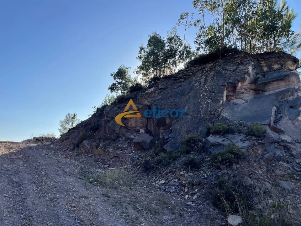 Terreno Agricola ou Rústico para Venda em Gandra Foto 4
