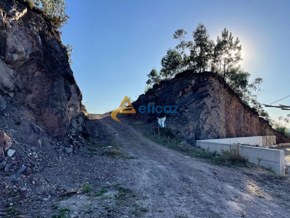 Terreno Agricola ou Rústico para Venda em Gandra Foto 6