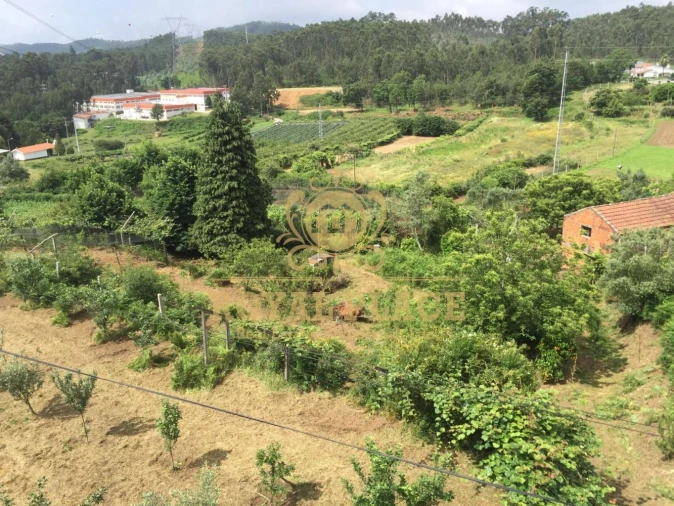Quinta T1 para Venda em O. Azeméis, Riba-Ul, Ul, Macinhata Seixa, Madail Foto 25