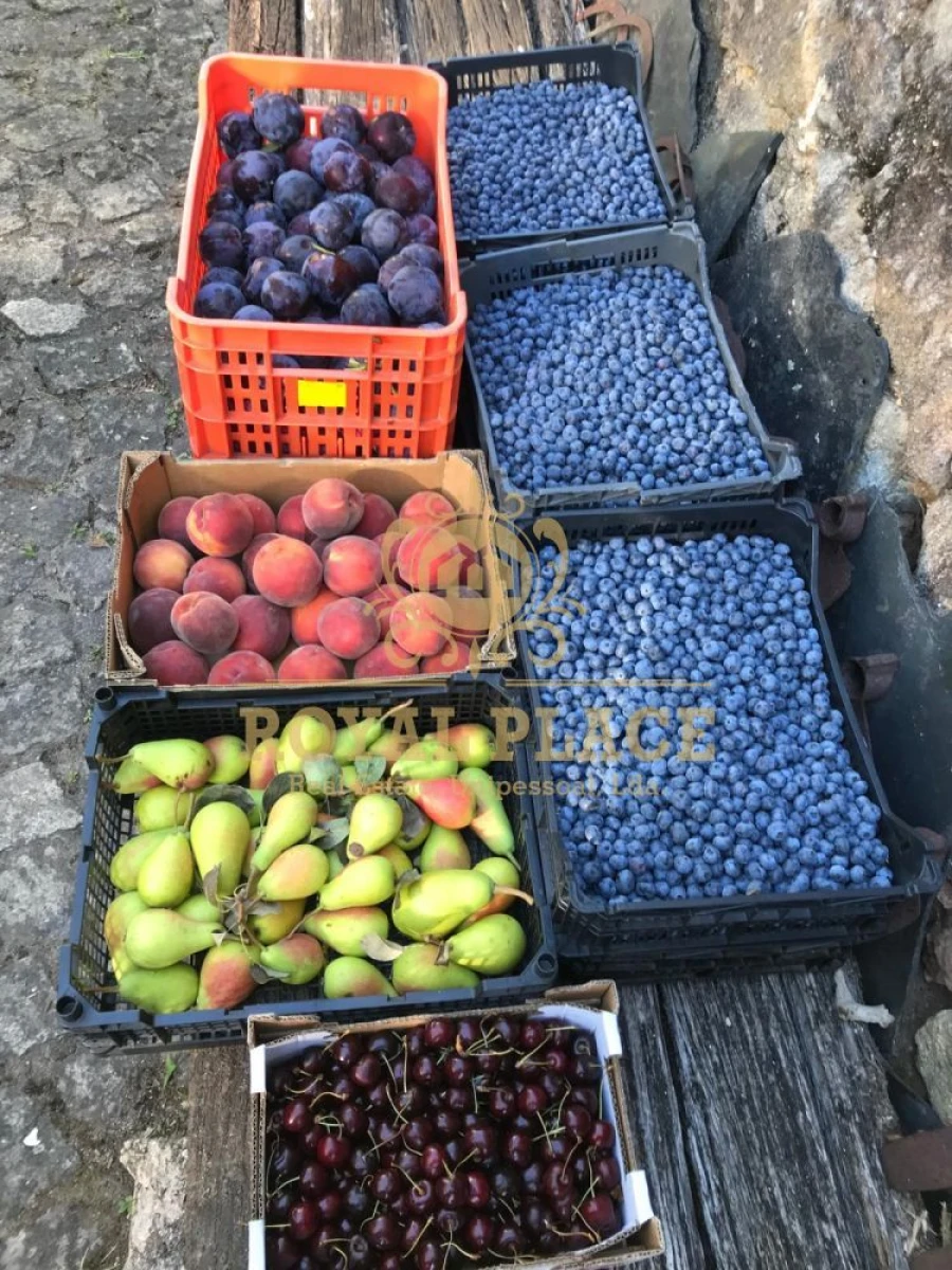 Quinta T1 para Venda em O. Azeméis, Riba-Ul, Ul, Macinhata Seixa, Madail Foto 23