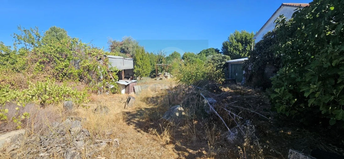 Terreno para Venda em Alcains Foto 10