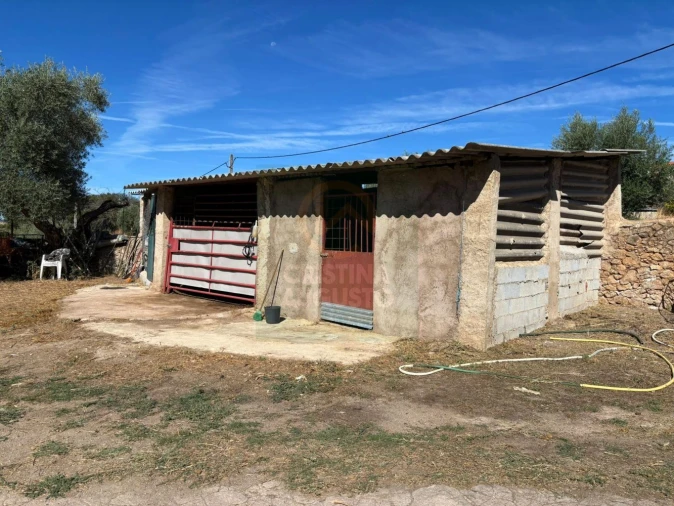 Terreno para Venda em Monfortinho e Salvaterra do Extremo Foto 20