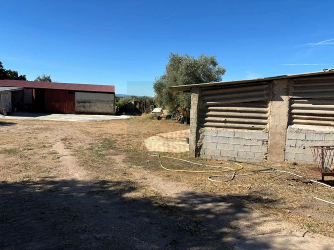 Terreno para Venda em Monfortinho e Salvaterra do Extremo Foto 21