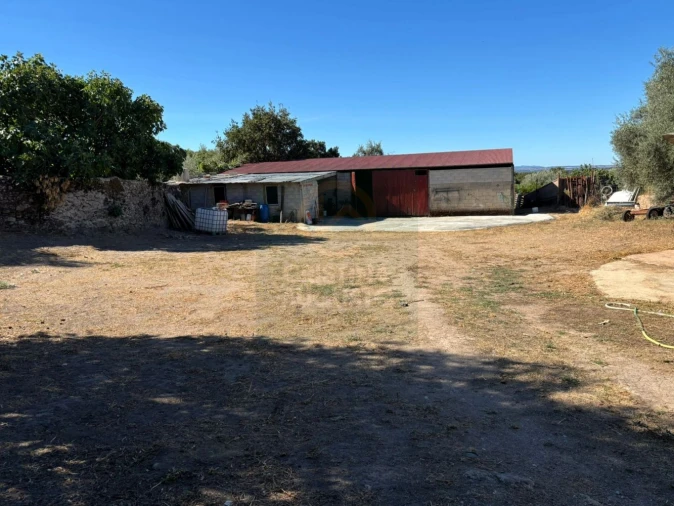 Terreno para Venda em Monfortinho e Salvaterra do Extremo Foto 5