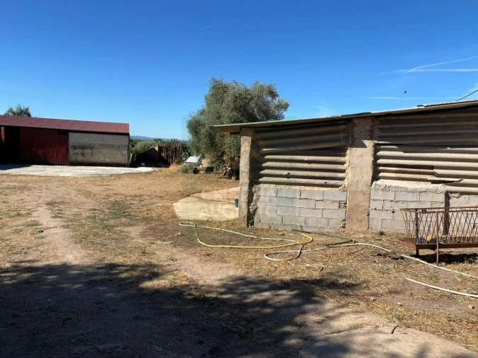 Terreno para Venda em Monfortinho e Salvaterra do Extremo Foto 18