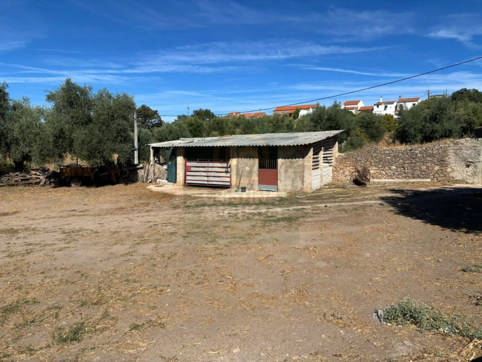 Terreno para Venda em Monfortinho e Salvaterra do Extremo Foto 2