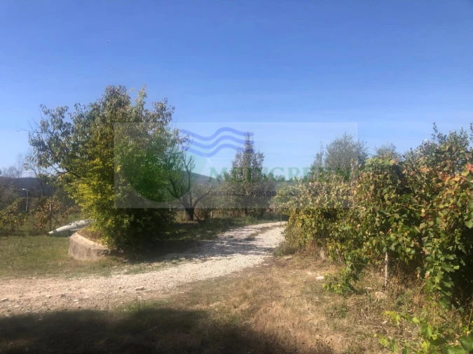 Armazém para Venda em Silva Escura e Dornelas Foto 13