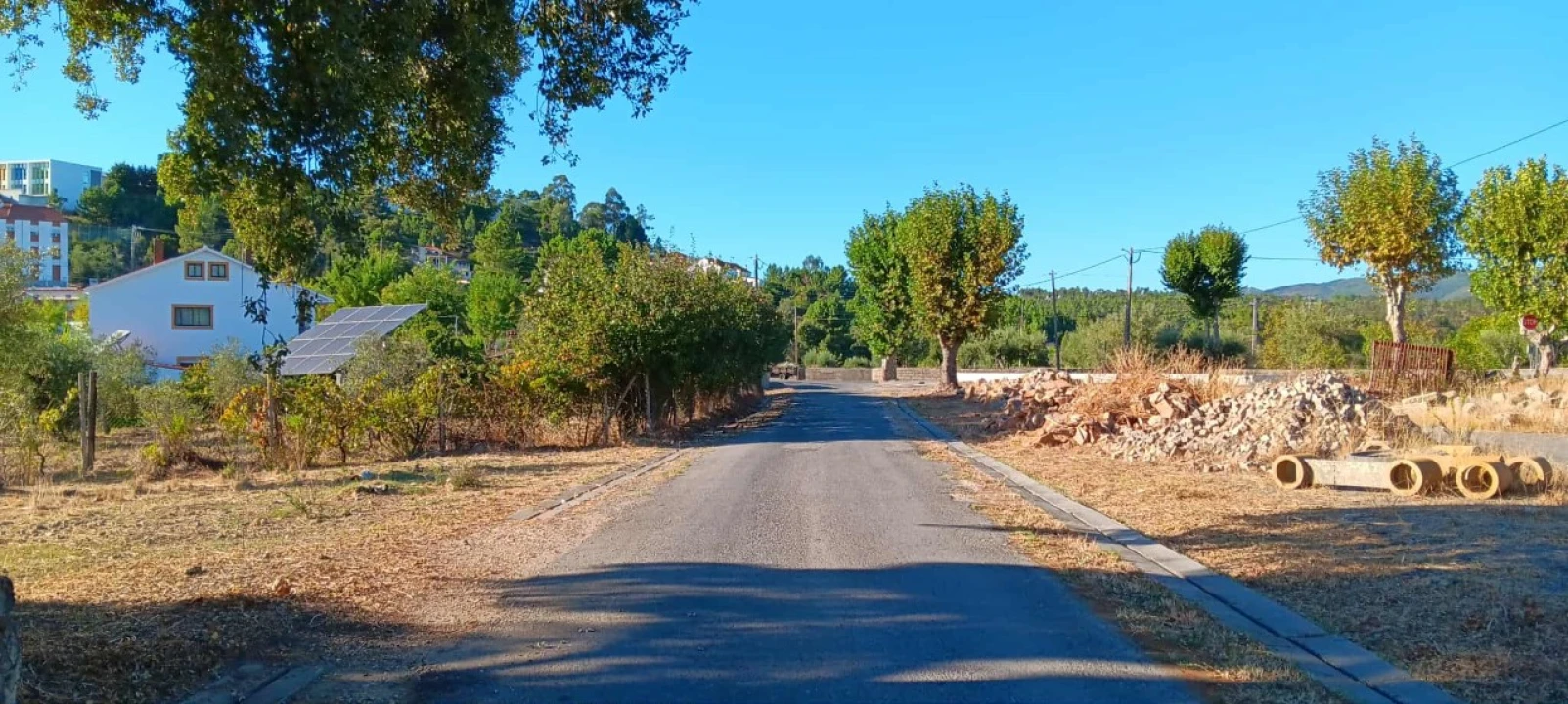 Terreno Agricola ou Rústico para Arrendamento em Mação, Penhascoso e Aboboreira Foto 1