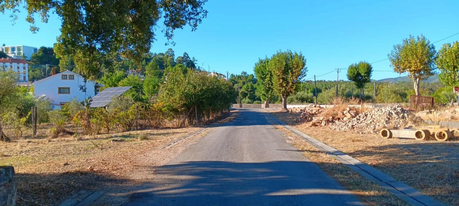 Terreno Agricola ou Rústico para Arrendamento em Mação, Penhascoso e Aboboreira Foto 8