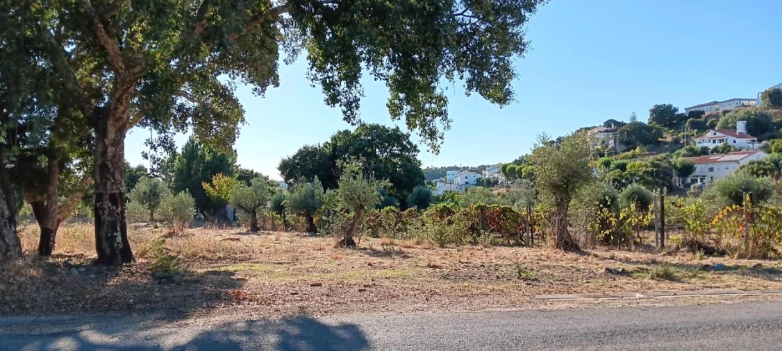 Terreno Agricola ou Rústico para Arrendamento em Mação, Penhascoso e Aboboreira Foto 3
