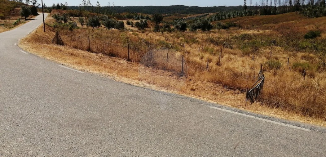 Terreno para Venda em Sobreira Formosa e Alvito da Beira Foto 4