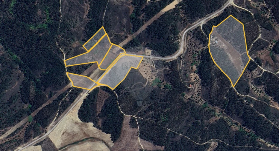 Terreno para Venda em Sobreira Formosa e Alvito da Beira Foto 1