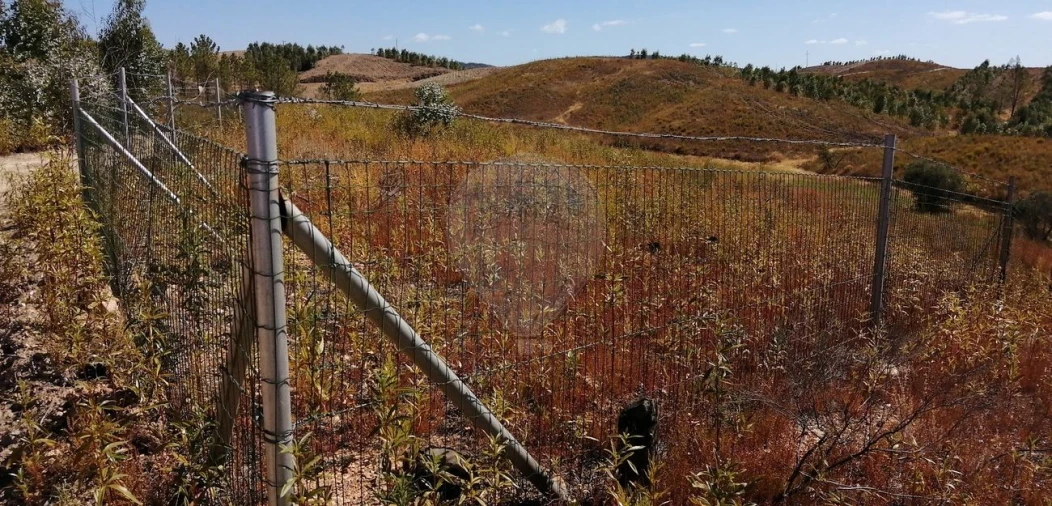 Terreno para Venda em Sobreira Formosa e Alvito da Beira Foto 3
