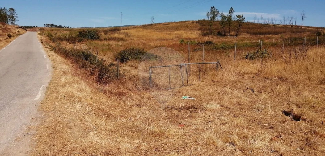 Terreno para Venda em Sobreira Formosa e Alvito da Beira Foto 2