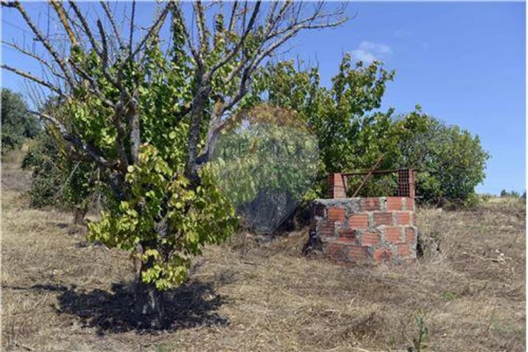 Moradia T2 para Venda em Arruda dos Vinhos Foto 6