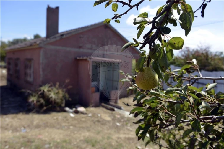 Moradia T2 para Venda em Arruda dos Vinhos Foto 4