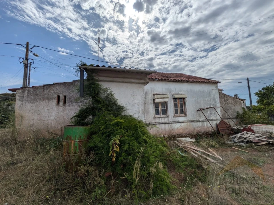 Moradia T2 para Venda em Eiras e São Paulo de Frades Foto 3