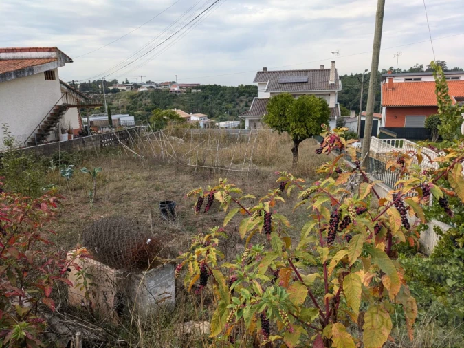 Moradia T2 para Venda em Eiras e São Paulo de Frades Foto 4