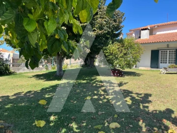 Moradia T4 para Venda em Aradas