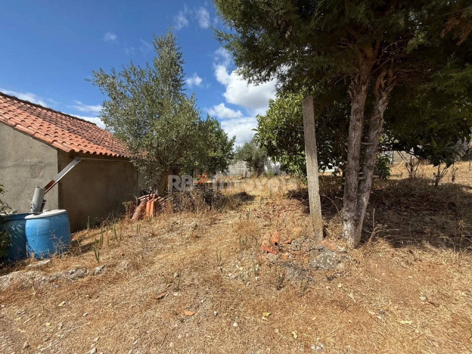 Quinta T3 para Venda em Sabacheira Foto 20