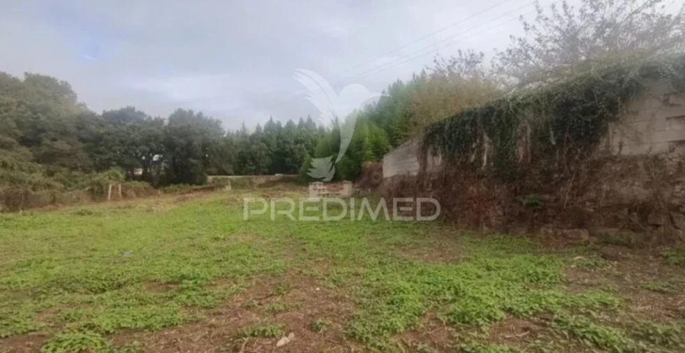 Moradia T3 para Venda em Santa Maria de Lamas Foto 15