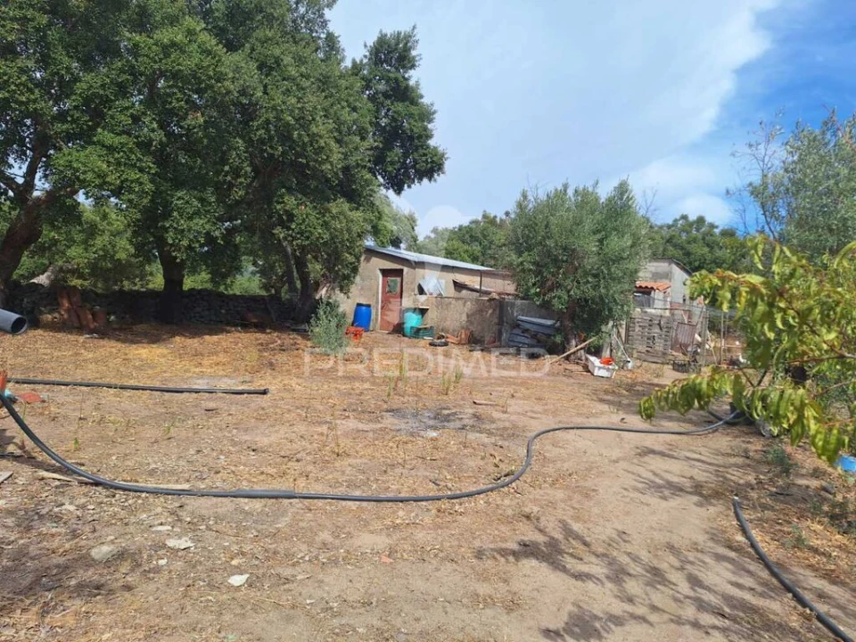 Quinta T3 para Venda em Urra Foto 13