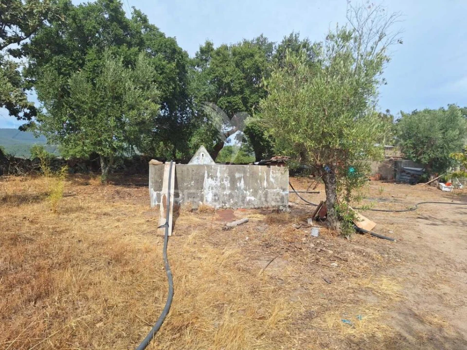 Quinta T3 para Venda em Urra Foto 12