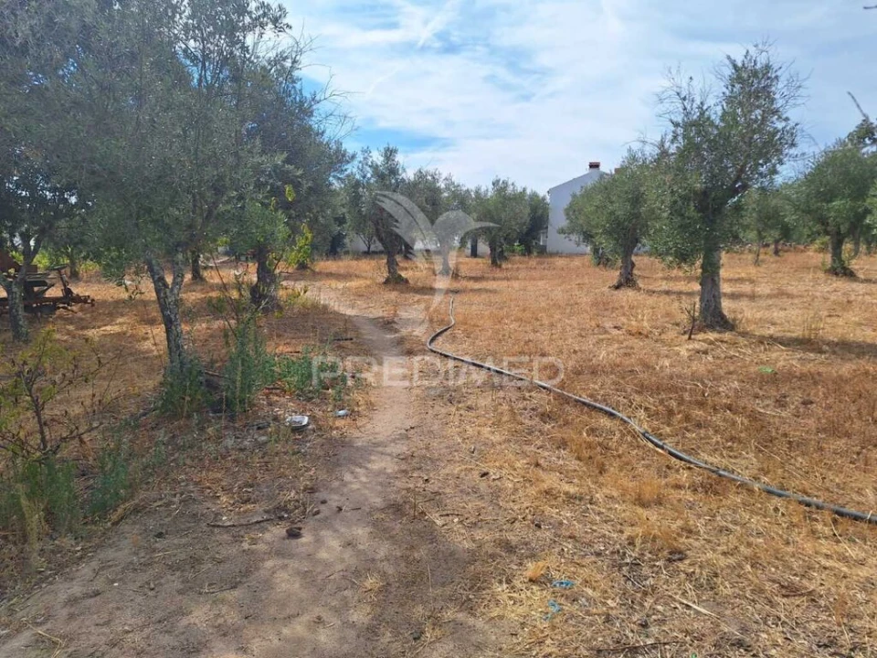 Quinta T3 para Venda em Urra Foto 14