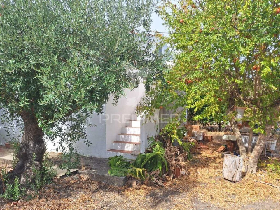 Quinta T3 para Venda em Urra Foto 10