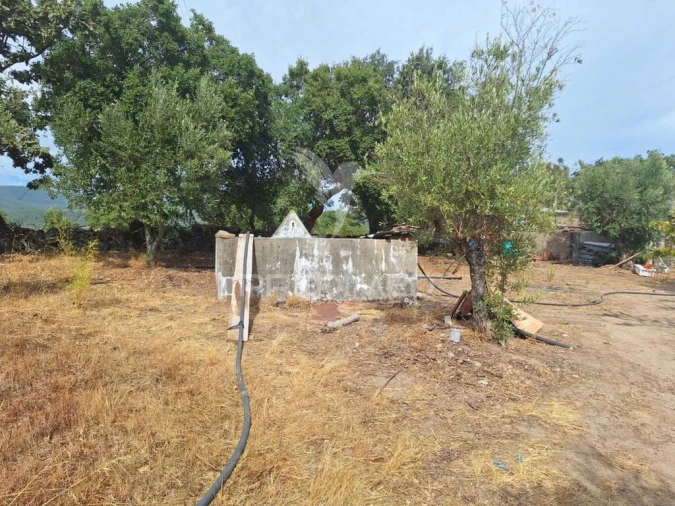 Quinta T3 para Venda em Urra Foto 12