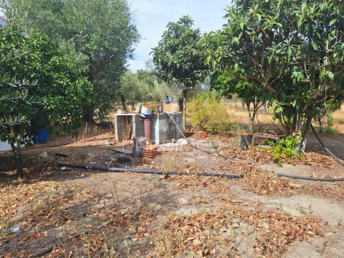 Quinta T3 para Venda em Urra Foto 15